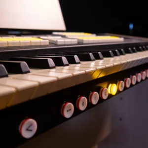 Viscount Cantorum UNO PLUS – Órgano Litúrgico Portátil de 61 Teclas - Imagen 3