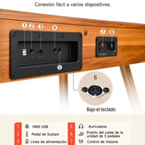 Piano Digital Donner 88 teclas DDP80 - Imagen 3
