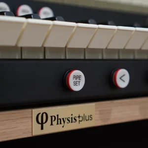 Viscount Domus S5 – Órgano Litúrgico Digital de 2 Manuales y Pedalera 30 Notas - Imagen 3