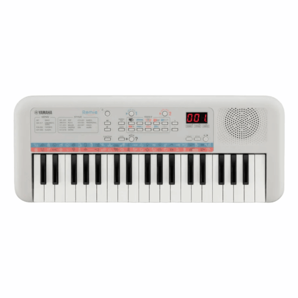 PSSE3001