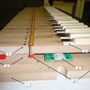 Single Keyboard A.W.K. - Teclas de Madera Sólida (Valor por teclado) - Imagen 2