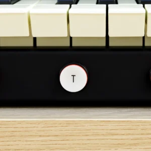 Viscount Domus 4 – Órgano Litúrgico Digital de 2 Manuales y Pedalera 30 Notas - Imagen 8