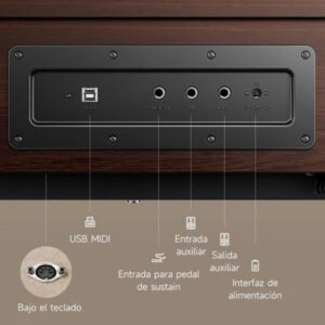 Piano Digital Donner OURA R300 88 Teclas Color Nogal – Elegancia y Sonido Premium - Imagen 4