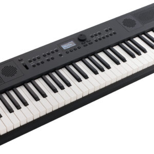 Roland GoKeys 5 – Instrumento de Exhibición con Accesorios Originales Incluidos, color Gris Oscuro, terminación Mate - Imagen 5