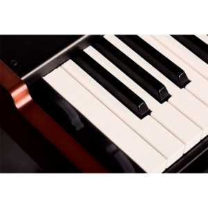 Viscount Legend One 73 – Órgano Digital de Escenario con Teclado Waterfall de 73 Notas 🎶 - Imagen 4